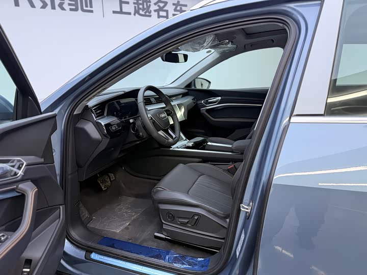 Audi e-tron 2021 2021款 50 quattro 豪华型