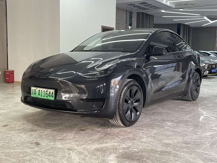 Tesla Model Y 2024 2024款 后轮驱动版