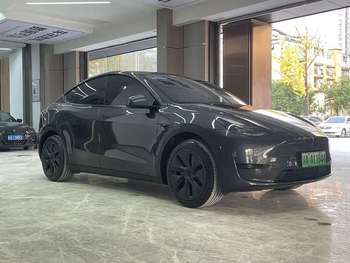 Tesla Model Y 2024 2024款 后轮驱动版
