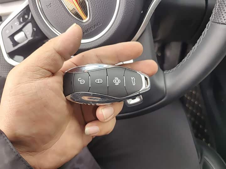 Hongqi HS7 Hybrid 2024 2024款 2.0T PHEV 四驱旗畅版 7座