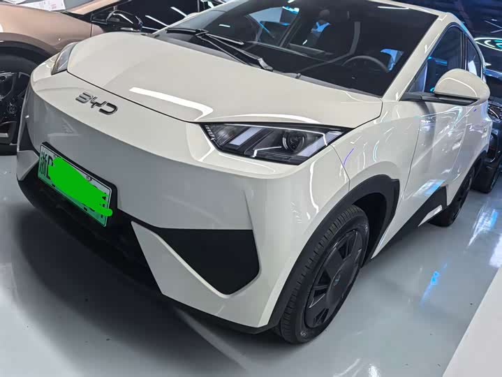 BYD Seagull 2025 2025款 智驾版 305km 活力版