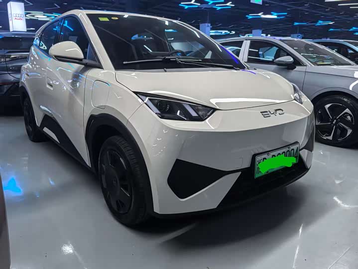 BYD Seagull 2025 2025款 智驾版 305km 活力版