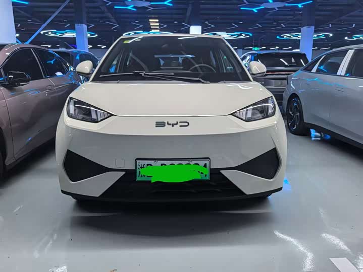 BYD Seagull 2025 2025款 智驾版 305km 活力版