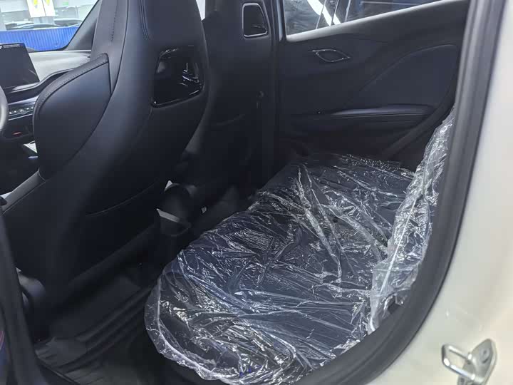 BYD Seagull 2025 2025款 智驾版 305km 活力版