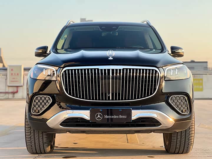 Mercedes-Benz GLS-Class 2024 2024款 GLS 450 4MATIC 豪华型