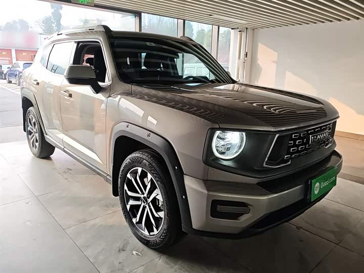 Haval H-Dog 2023 2023款 2.0T 四驱潮野Plus