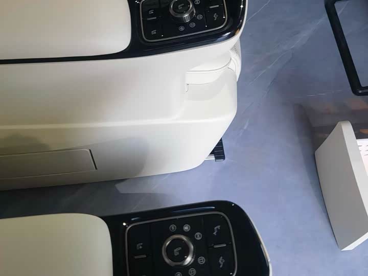 Wey Gaoshan 2025 2025款 四驱高山8