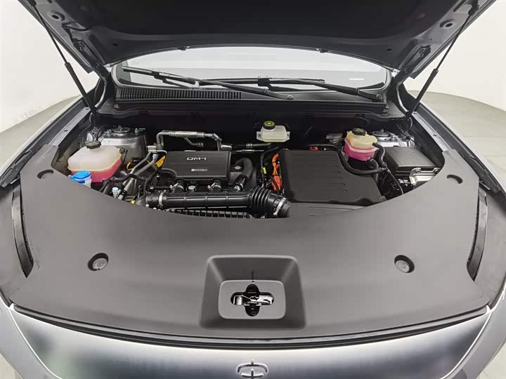 BYD Song Pro Hybrid 2025 2025款 第二代 智驾版 DM-i 115KM超越型