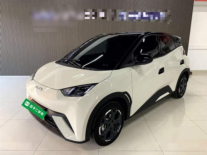 BYD Seagull 2025 2025款 305km 自由版