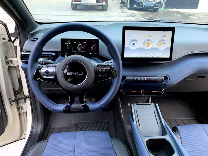 BYD Seagull 2025 2025款 305km 自由版