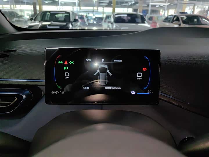 BYD Seagull 2025 2025款 305km 自由版