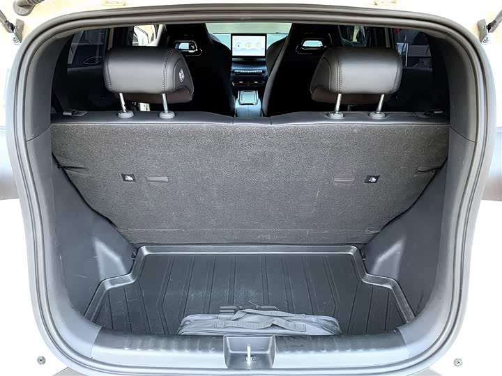 BYD Seagull 2025 2025款 305km 自由版