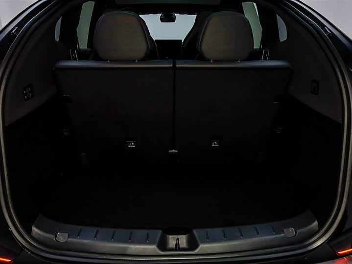 Tesla Model Y 2025 2025款 长续航全轮驱动版