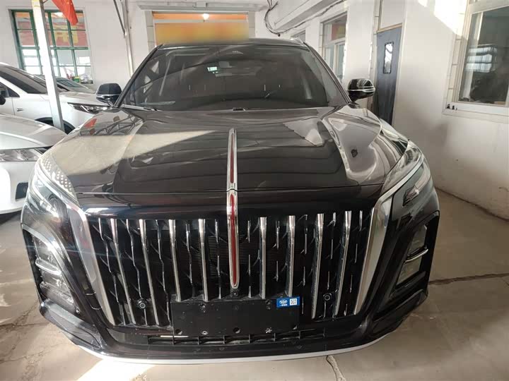 Hongqi HS3 Hybrid 2025 2025款 117km 劲为版