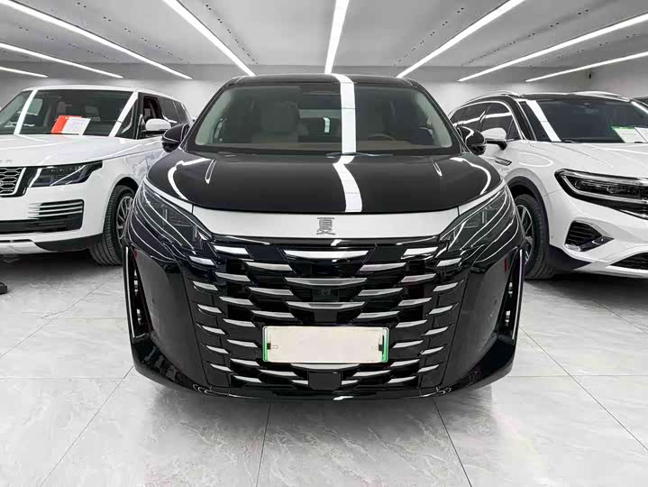 BYD Xia 2025 2025款 DM-i 1.5T 180km 卓越型