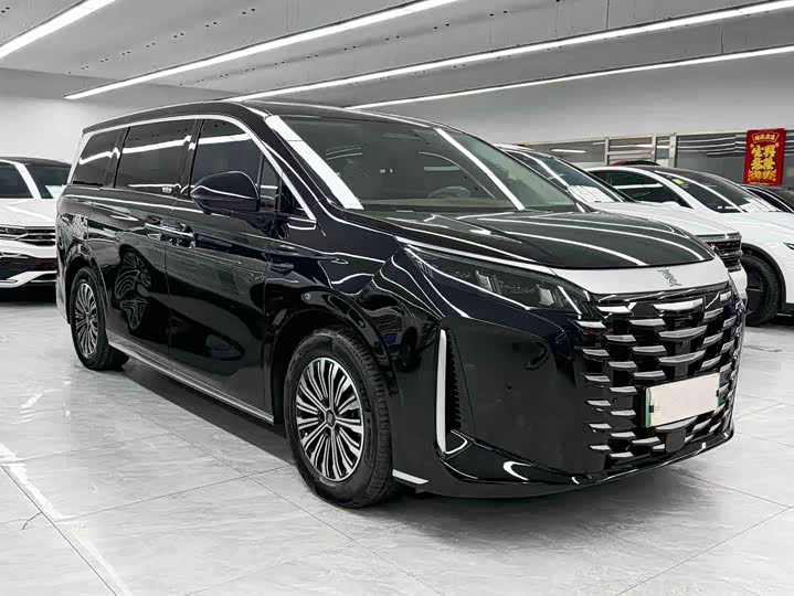 BYD Xia 2025 2025款 DM-i 1.5T 180km 卓越型