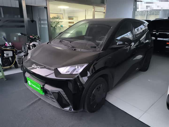 BYD Seagull 2025 2025款 305km 活力版