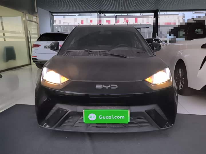 BYD Seagull 2025 2025款 305km 活力版