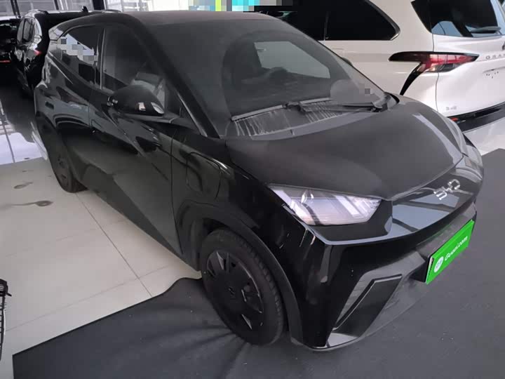 BYD Seagull 2025 2025款 305km 活力版