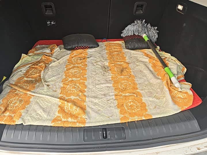 Beijing X7 2022 2022款 1.5TD DCT致尚版