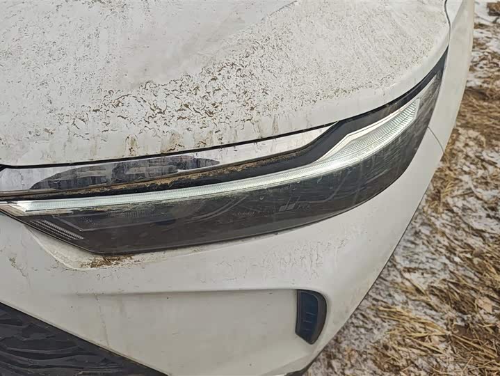 Beijing X7 2022 2022款 1.5TD DCT致尚版