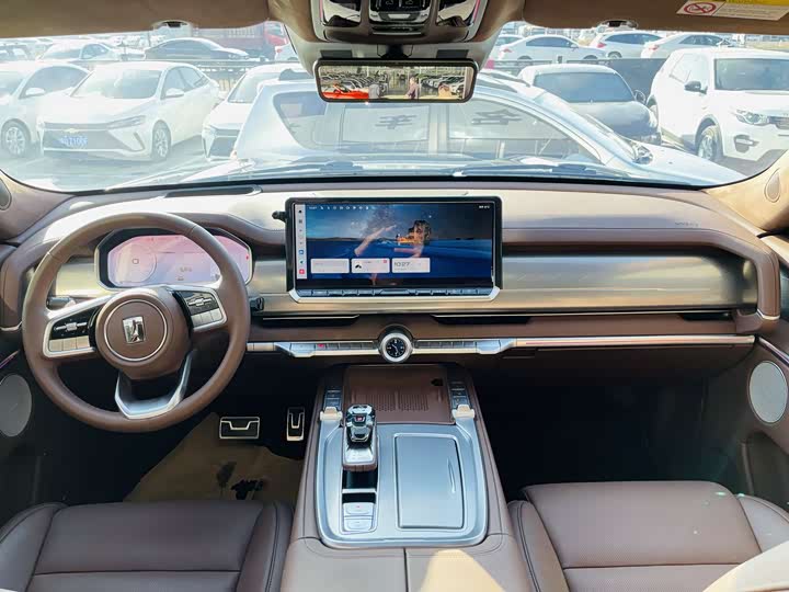 Tank 700 Hybrid 2024 2024款 Hi4-T 极境版