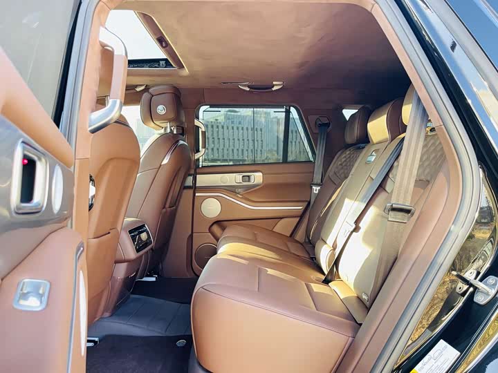 Tank 700 Hybrid 2024 2024款 Hi4-T 极境版