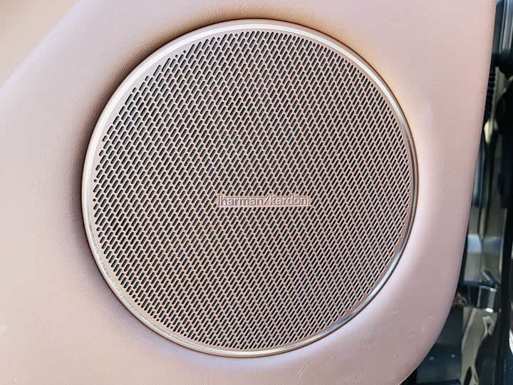 Tank 700 Hybrid 2024 2024款 Hi4-T 极境版