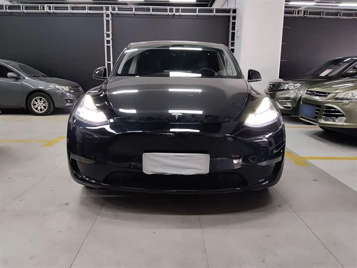 Tesla Model Y 2024 2024款 长续航全轮驱动版