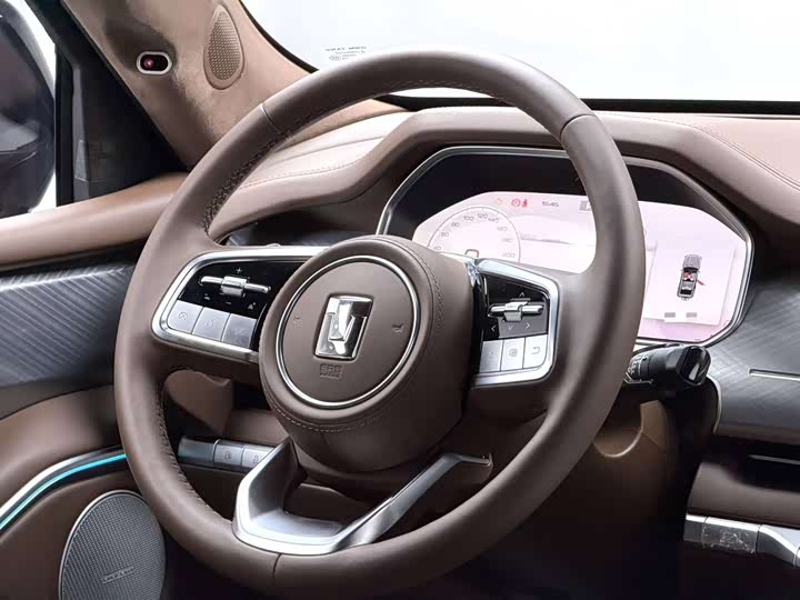 Tank 700 Hybrid 2024 2024款 Hi4-T 极境版