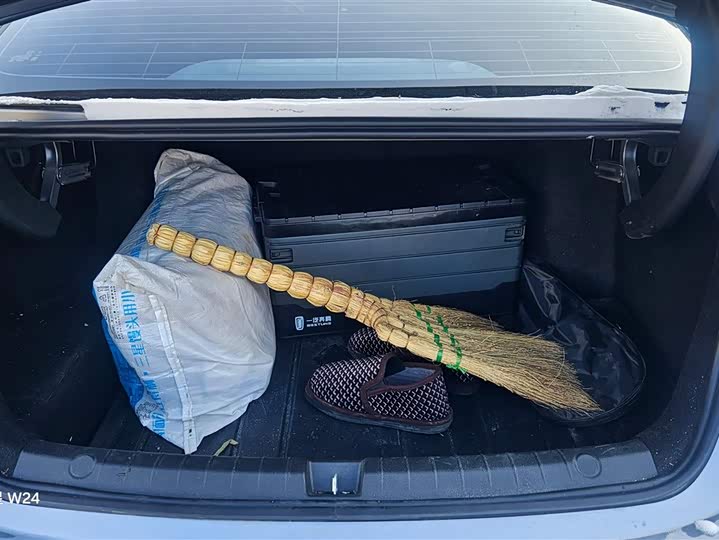 BYD Qin Plus 2025 2025款 DM-i 智驾版 55KM领先型