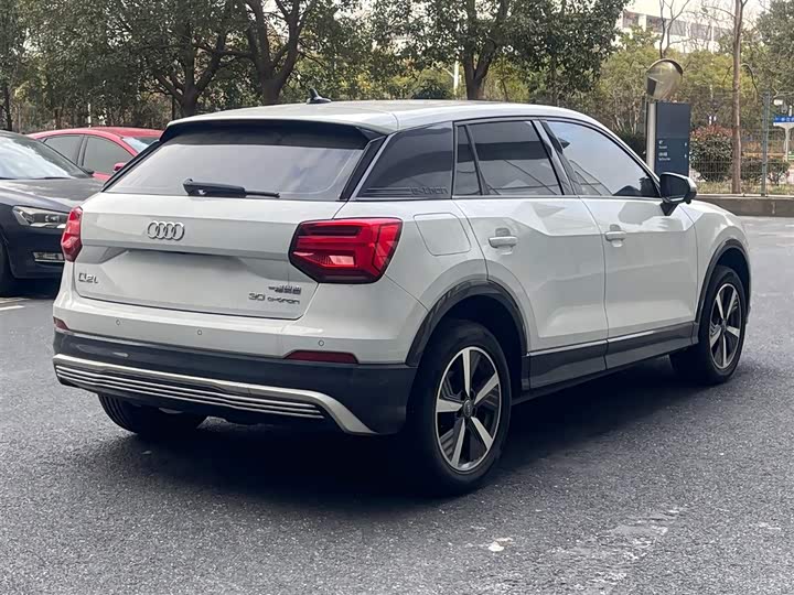 Audi Q2L e-tron 2019 2019款 Q2L e-tron 纯电智享型