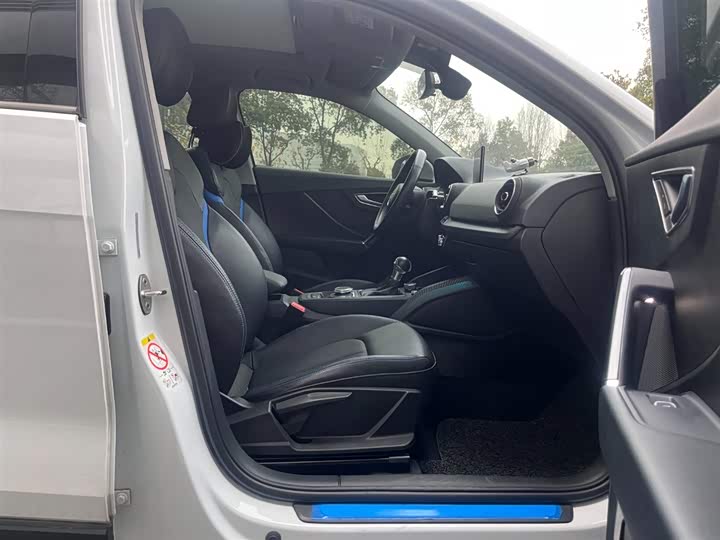 Audi Q2L e-tron 2019 2019款 Q2L e-tron 纯电智享型