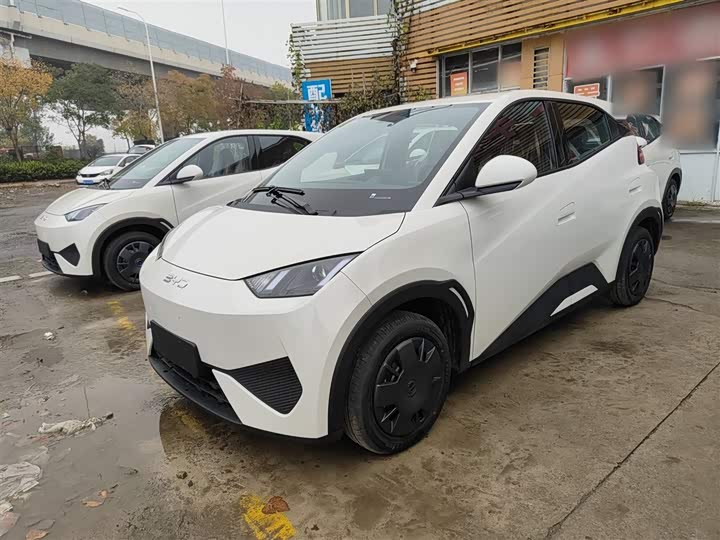 BYD Seagull 2025 2025款 智驾版 305km 活力版