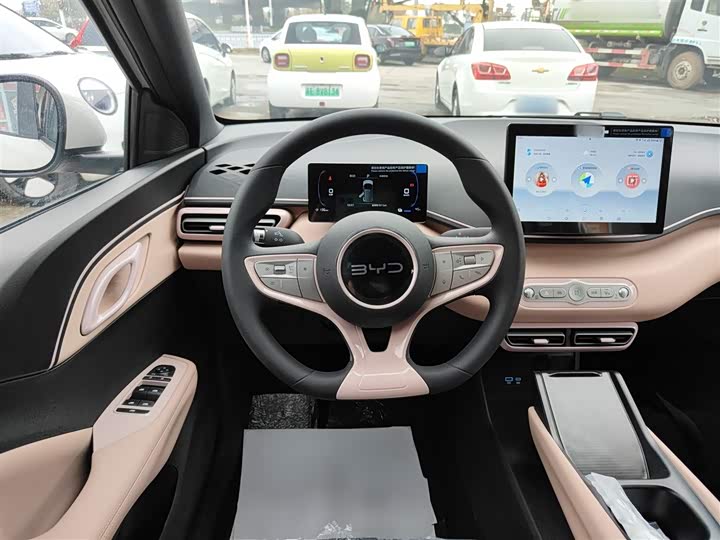 BYD Seagull 2025 2025款 智驾版 305km 活力版