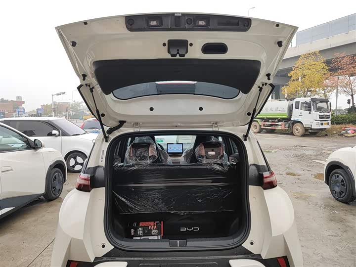 BYD Seagull 2025 2025款 智驾版 305km 活力版