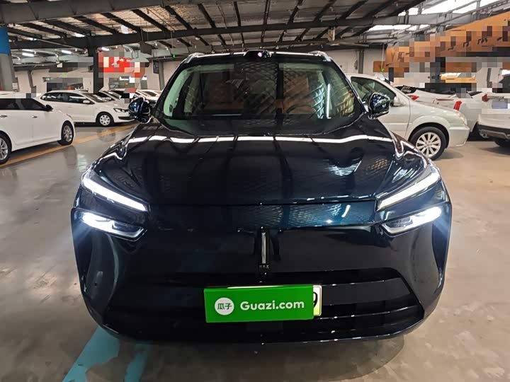 Wey Lanshan 2025 2025款 四驱智驾 Max