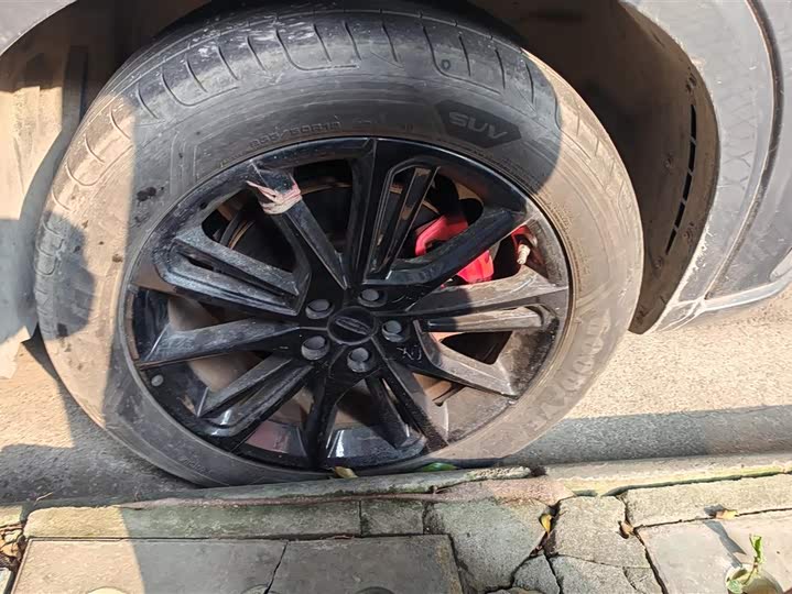 Geely Tugella 2020 2020款 高能版 350T 耀星者