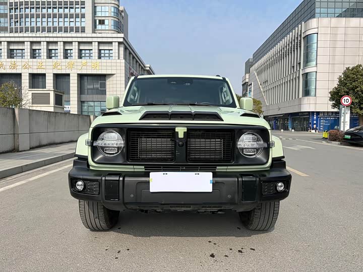 Tank 300 2024 2024款 2.0T 穿越者