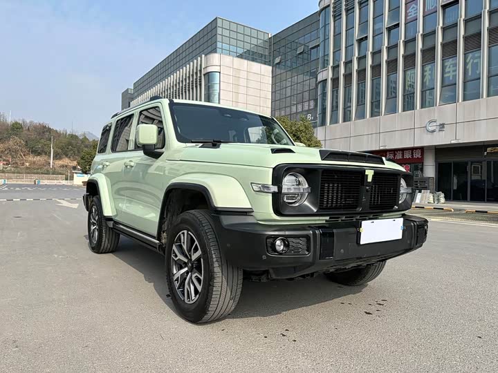 Tank 300 2024 2024款 2.0T 穿越者