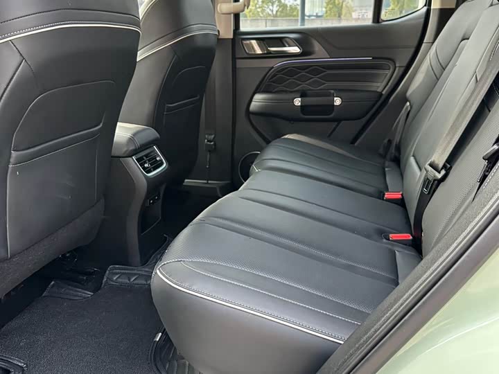 Tank 300 2024 2024款 2.0T 穿越者