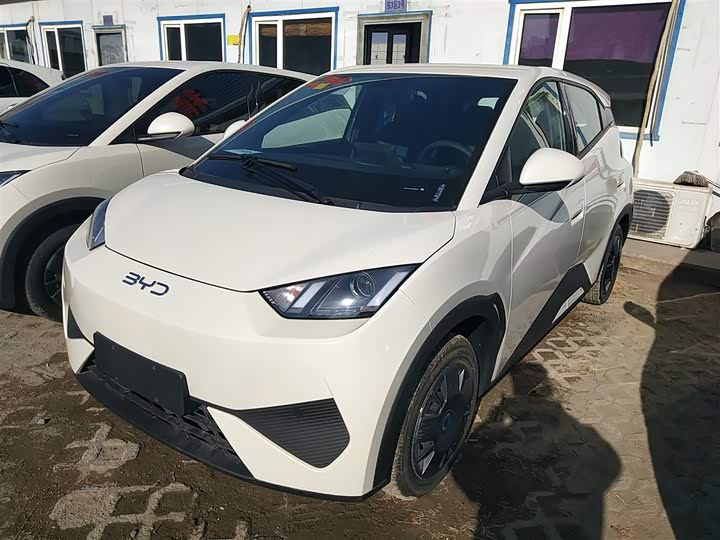 BYD Seagull 2025 2025款 智驾版 305km 活力版