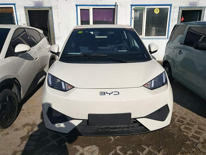 BYD Seagull 2025 2025款 智驾版 305km 活力版