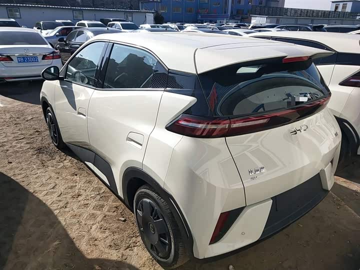 BYD Seagull 2025 2025款 智驾版 305km 活力版