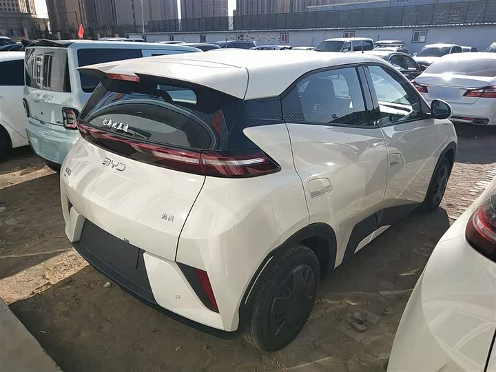 BYD Seagull 2025 2025款 智驾版 305km 活力版