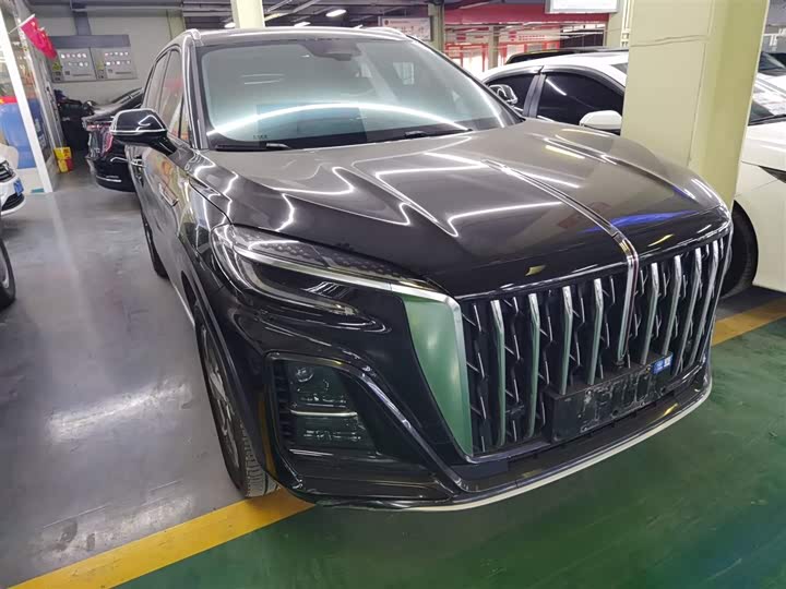 Hongqi HS3 Hybrid 2024 2024款 115km 劲为版