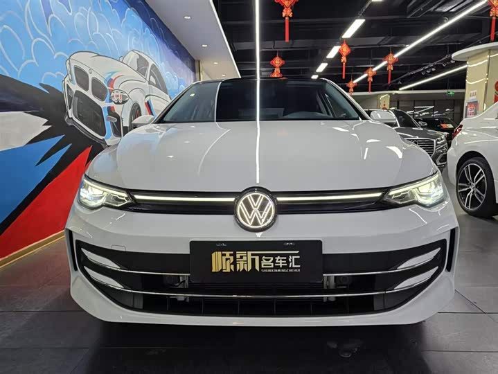 Volkswagen Golf 2025 2025款 300TSI Pro