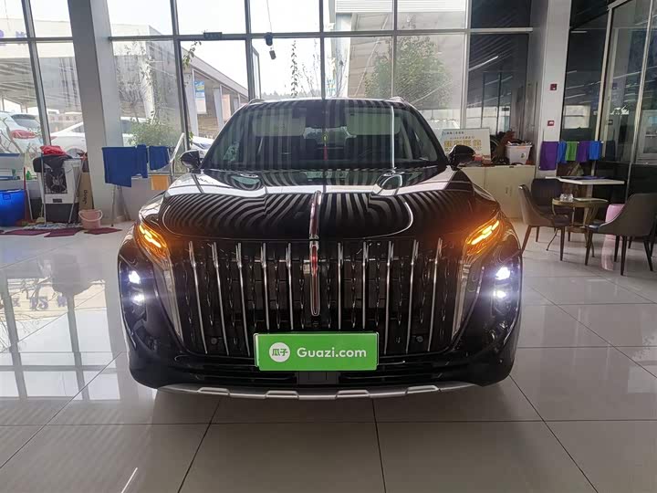 Hongqi HS7 Hybrid 2024 2024款 2.0T PHEV 四驱旗畅版 6座