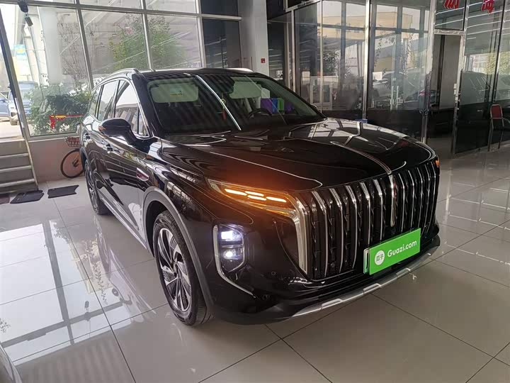 Hongqi HS7 Hybrid 2024 2024款 2.0T PHEV 四驱旗畅版 6座