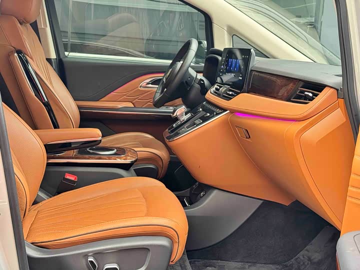 Hongqi HQ9 2023 2023款 2.0T 智联旗领版